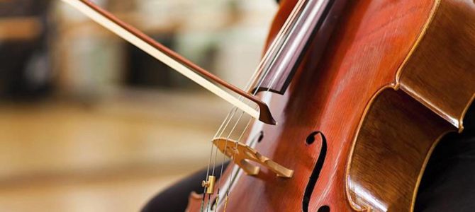 Violoncello